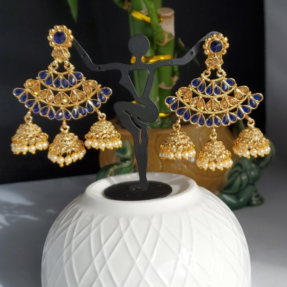 Fancy Earring